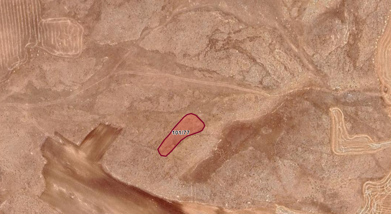 Fotoğraf